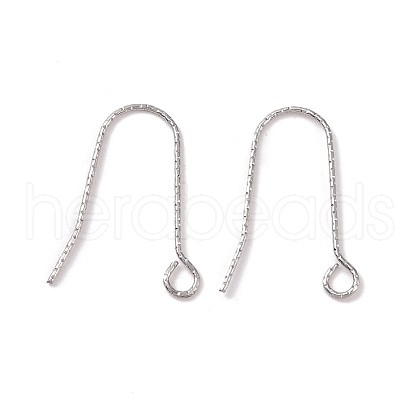 Tarnish Resistant 316 Stainless Steel Earring Hooks X-STAS-C059-10P-1