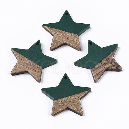 Resin & Wood Pendants RESI-T023-23E-1