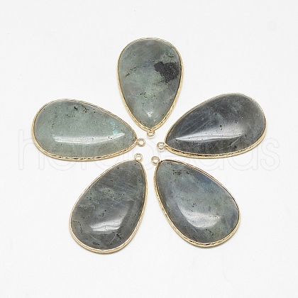 Natural Labradorite Big Pendants G-Q494-75A-G-1