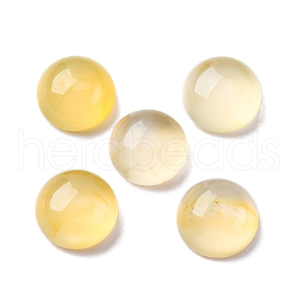 Natural Yellow Agate Cabochons G-K348-07C-04-1