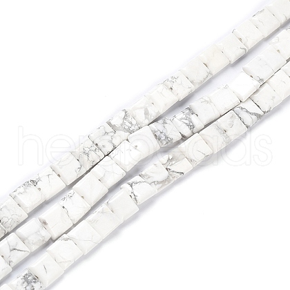 Natural Howlite Beads Strands G-K337-05-1