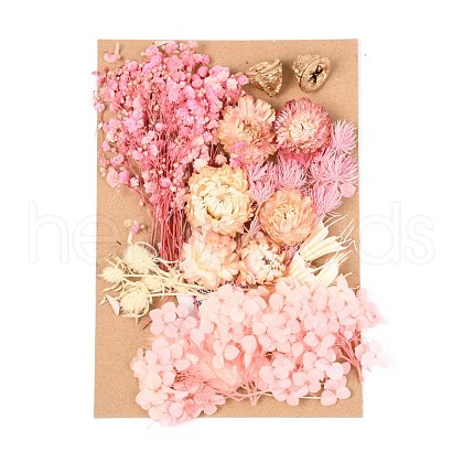 Dried Flower DIY-B018-09-1