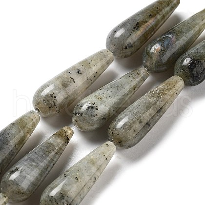 Natural Labradorite Beads Strands G-P528-H04-01-1