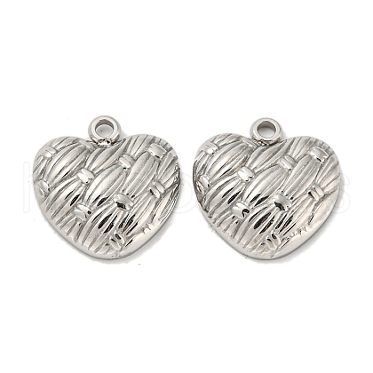 Non-Tarnish 304 Stainless Steel Charms STAS-L022-108P-06-1