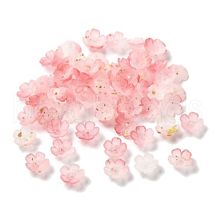 Acrylic Bead Caps OACR-Z028-03C-1