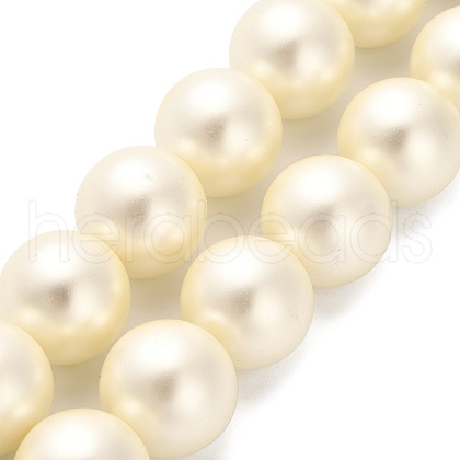 Shell Pearl Beads Strands BSHE-XCP0001-32-1