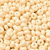 Baking Paint Glass Seed Beads X1-SEED-B001-02A-09-3