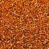 Electroplate Glass Seed Beads SEED-H003-10F-2