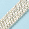 Natural Pearl Beads Strands PEAR-E018-75-2
