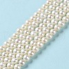 Natural Cultured Freshwater Pearl Beads Strands PEAR-E018-75-2