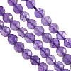 Olycraft 1 Strand Natural Amethyst Beads Strands G-OC0005-39-1