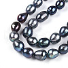 Natural Cultured Freshwater Pearl Beads Strands PEAR-N012-09F-01-4