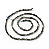 Natural African Turquoise(Jasper) Beads Strands G-P472-02-2