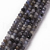 Natural Tanzanite Beads Strands G-S362-101-1