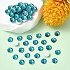 Preciosa® MAXIMA Crystal No Hotfix Flatback Stones Y-PRC-NSS16-60230-2