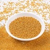 MIYUKI Round Rocailles Beads SEED-G007-RR0007-3