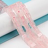 Natural Rose Quartz Beads Strands G-Q1008-B14-4