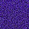 MIYUKI Round Rocailles Beads X-SEED-G007-RR0020-3