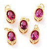 Real 18K Gold Plated Brass Inlaid Cubic Zirconia Charms ZIRC-L100-079G-03-1
