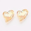 K9 Glass Rhinestone Pendants GLAA-F083-01B-04-1