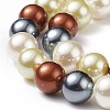 Shell Pearl Bead Strands BSHE-L017-18-5