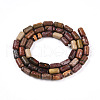 Natural Picasso Jasper/Polychrome Jasper Beads Strands G-N346-01A-05-3