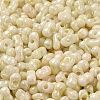 Glass Seed Beads SEED-K009-02B-08-3