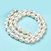 Natural Cultured Freshwater Pearl Beads Strands PEAR-E016-168-3