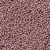 MIYUKI Delica Beads SEED-X0054-DB1166-3