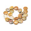 Crazy Agate Flat Round Bead Strands G-M206-16-2