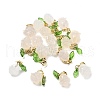 Natural Agate Rose Pendant Decorations G-U025-02G-1