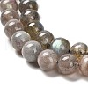 Natural Labradorite Beads Strands G-C207-A01-8mm-4