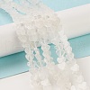 Natural Quartz Crystal Beads Strands G-M403-A05-2