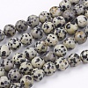 Natural Dalmatian Jasper Stone Bead Strands X-G-R193-14-8mm-1