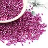 Electroplate Glass Seed Beads SEED-S042-01B-15-1