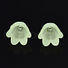 Transparent Acrylic Bead Caps FACR-N005-002B-2