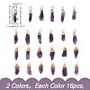 HOBBIESAY 32Pcs 2 Colors Natural Amethyst Pendants PALLOY-HY0001-05-2