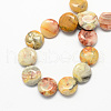 Flat Round Natural Crazy Lace Agate Beads Strands G-S110-05-2