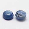 Dome Natural Kyanite/Cyanite/Disthene Cabochons G-O146-01C-2