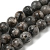 Natural Larvikite Beads Strands G-E443-A36-1
