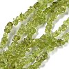 Natural Peridot Beads Strands X-G-P332-48-01-1