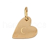 304 Stainless Steel Charms STAS-L291-01G-C-2