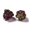 Handmade Lampwork Beads X-LAMP-Q033-04A-2
