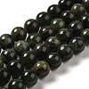 Natural Chrysoprase Beads Strands G-H298-A09-04-1