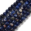 Natural South Africa Sodalite Beads Strands G-S259-35-12mm-01-4