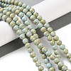 Natural Rainbow Alashan Agate Beads Strands G-NH0022-A-01-3