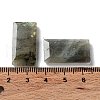 Natural Labradorite Pendants G-G063-01I-3