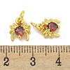 Rack Plating Brass Micro Pave Cubic Zirconia Spider Charms ZIRC-I065-02C-3