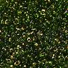 Spray Painted Glass Seed Beads SEED-F005-07A-01-3