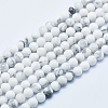 Natural Howlite Beads Strands G-P353-01-4mm-1